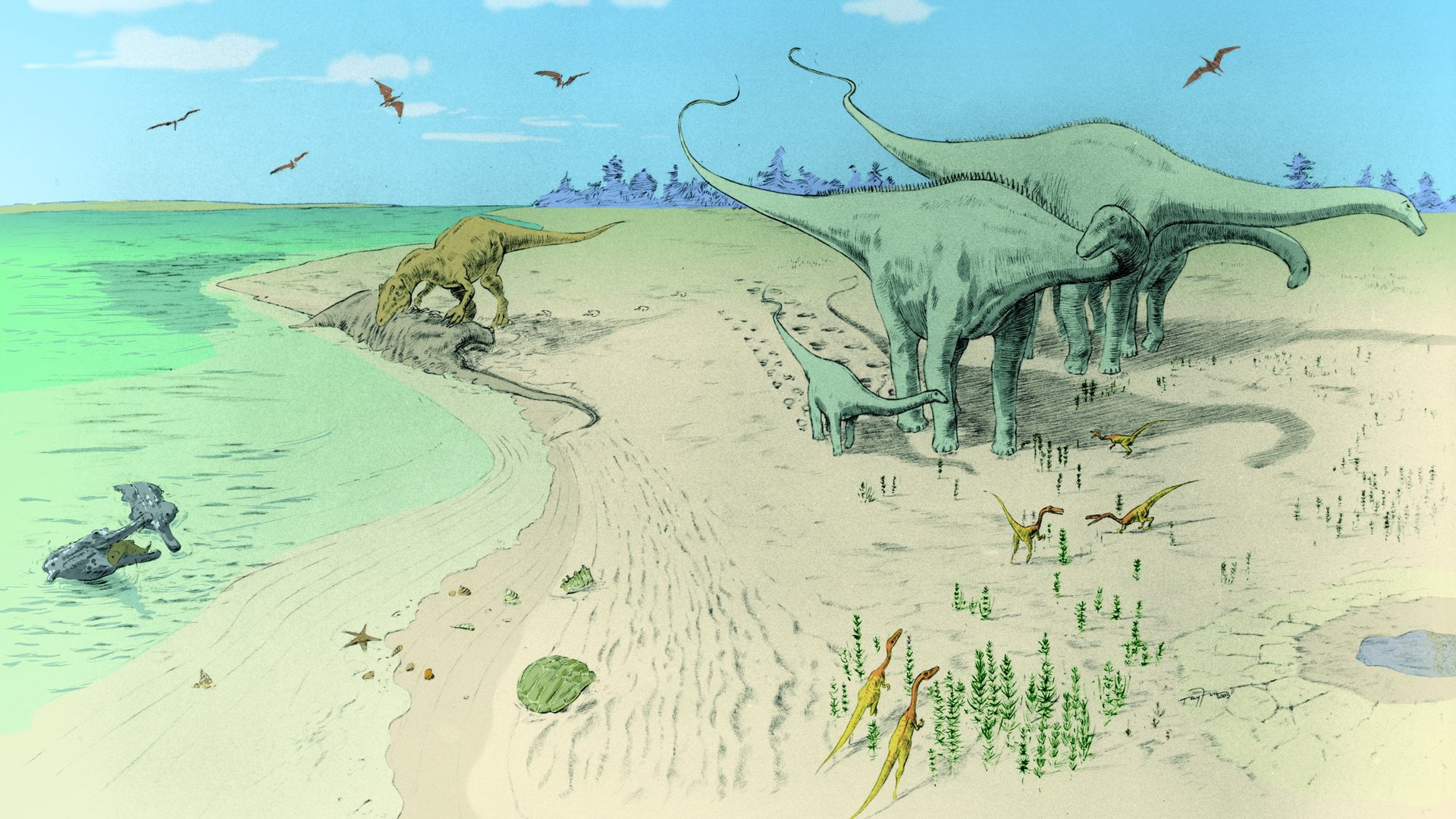 Zeichnung eines Strandes mit verschiedenen vorhandenen Dinosauriern und ein wenig Vegetation.