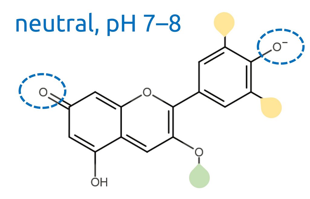 Vereinfachte chemische Struktur eines Anthocyans bei neutralem pH-Wert