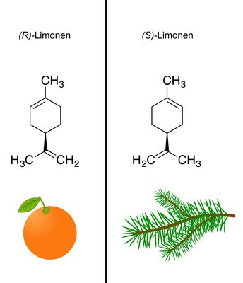 Chemische Struktur der beiden Formen von Limonen, Orange, Tannenzweig