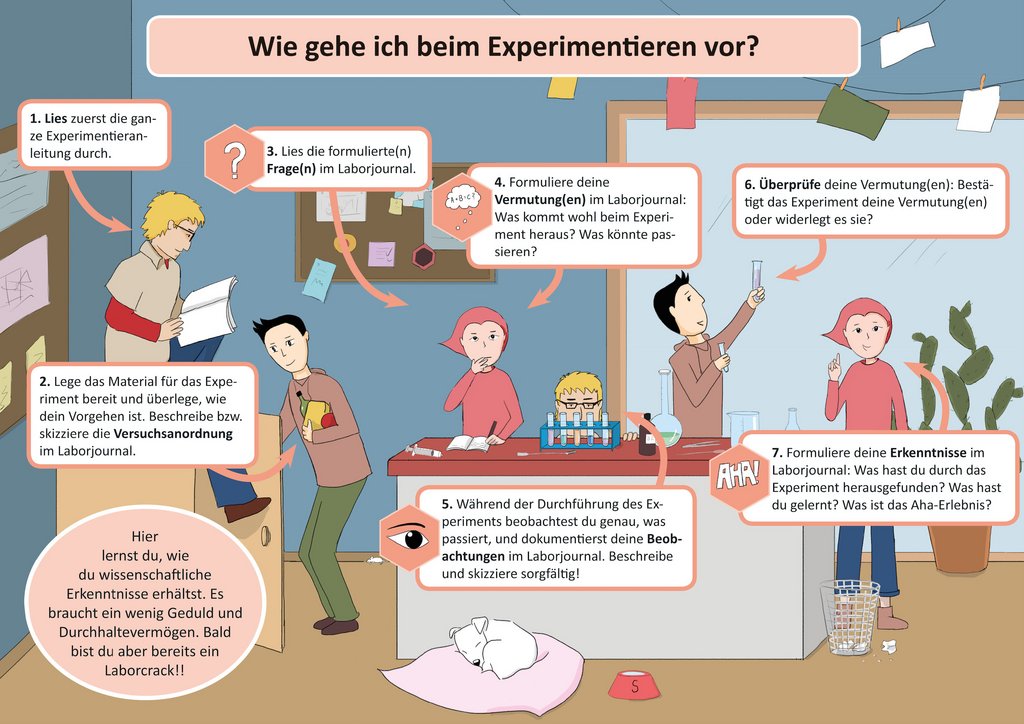 Infografik: Wie gehe ich beim Experimentieren vor?