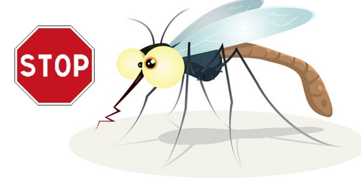 Stop moustique