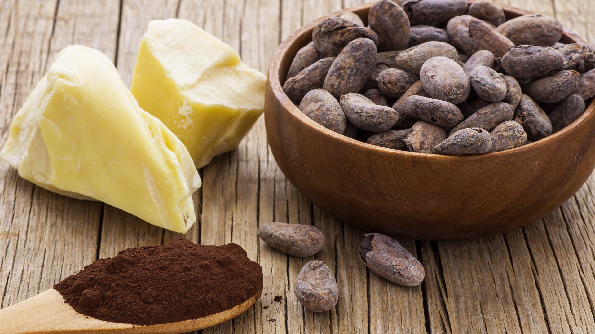 geröstete Kakaobohnen, Stücke von Kakaobutter, Kakaopulver
