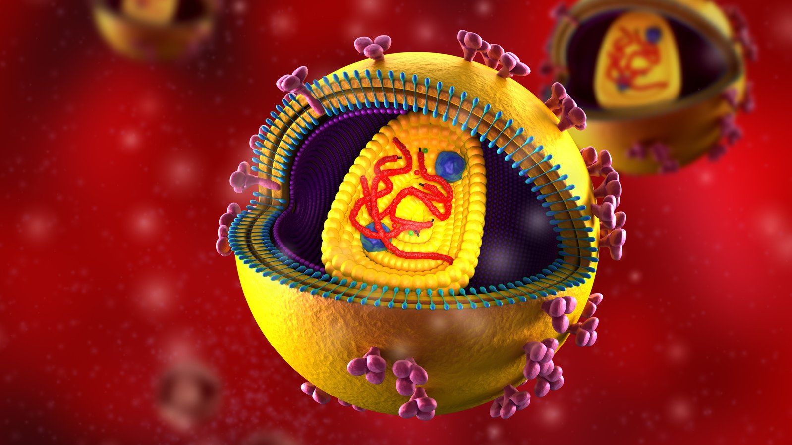 HI-Virus (Illustration)