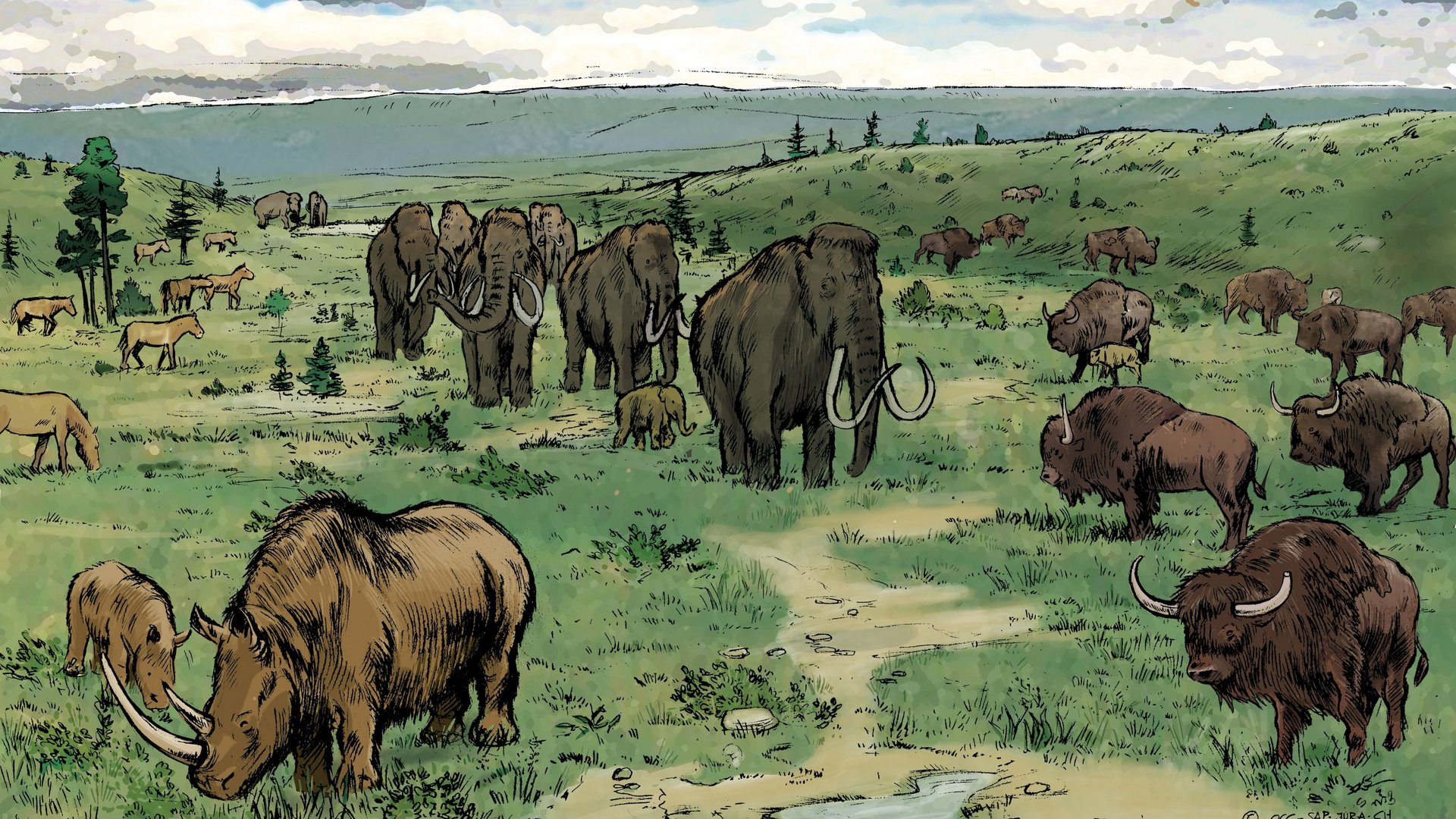 Reconstitution d'un paysage jurassien d'il y a 35'000 ans, avec des mammouths et d'autres espèces de mammifères vivant à cette époque