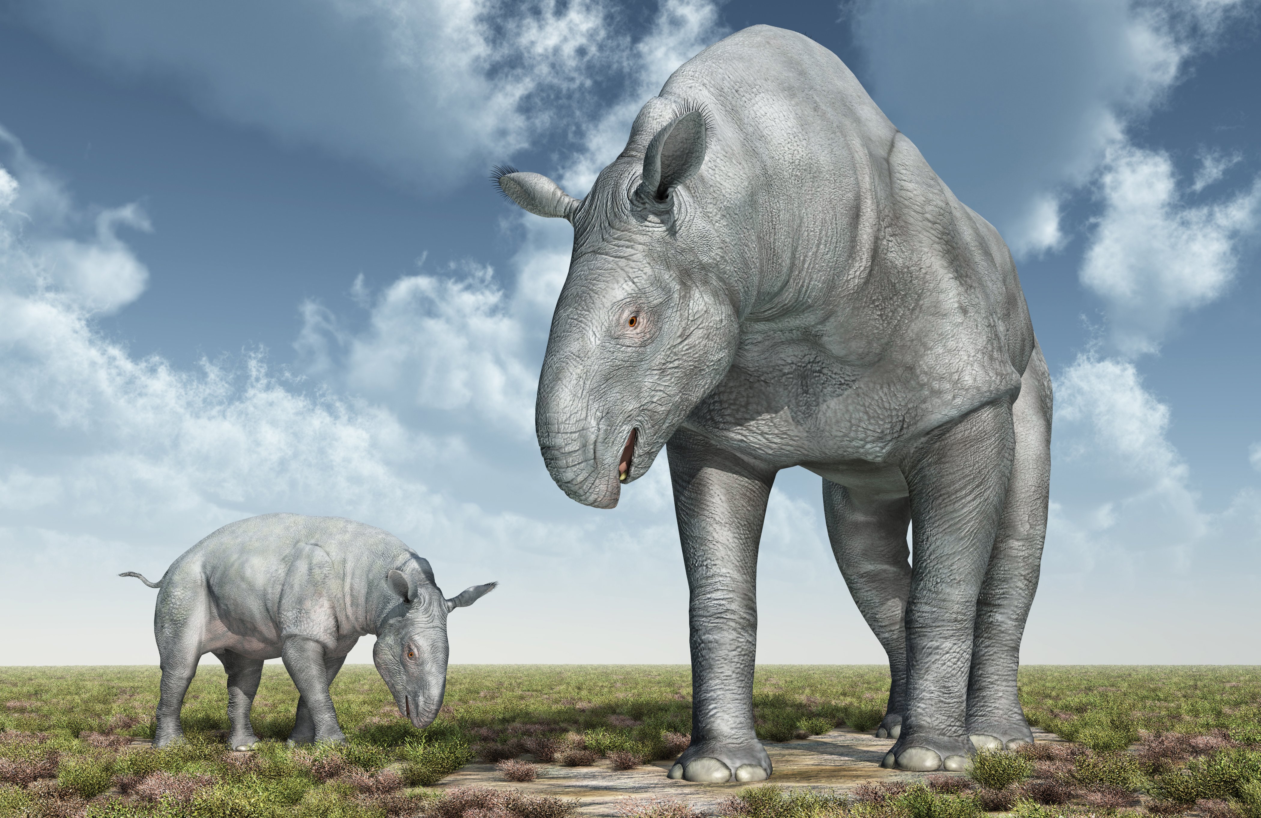 Image de synthèse montrant des Paraceratherium, le plus grand mammifère connu à ce jour.