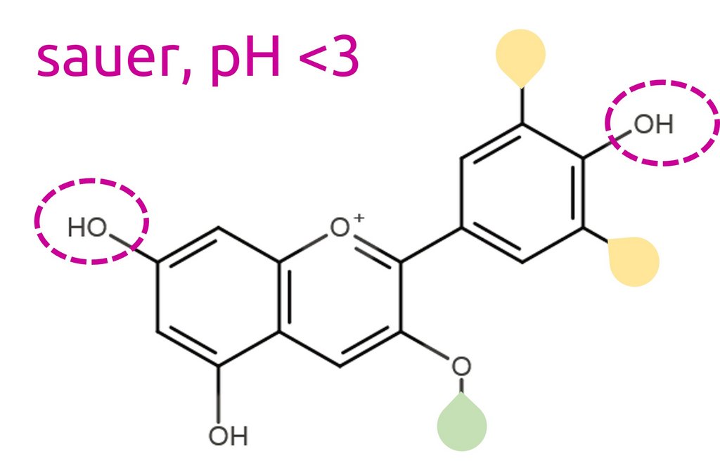 Vereinfachte chemische Struktur eines Anthocyans bei saurem pH-Wert