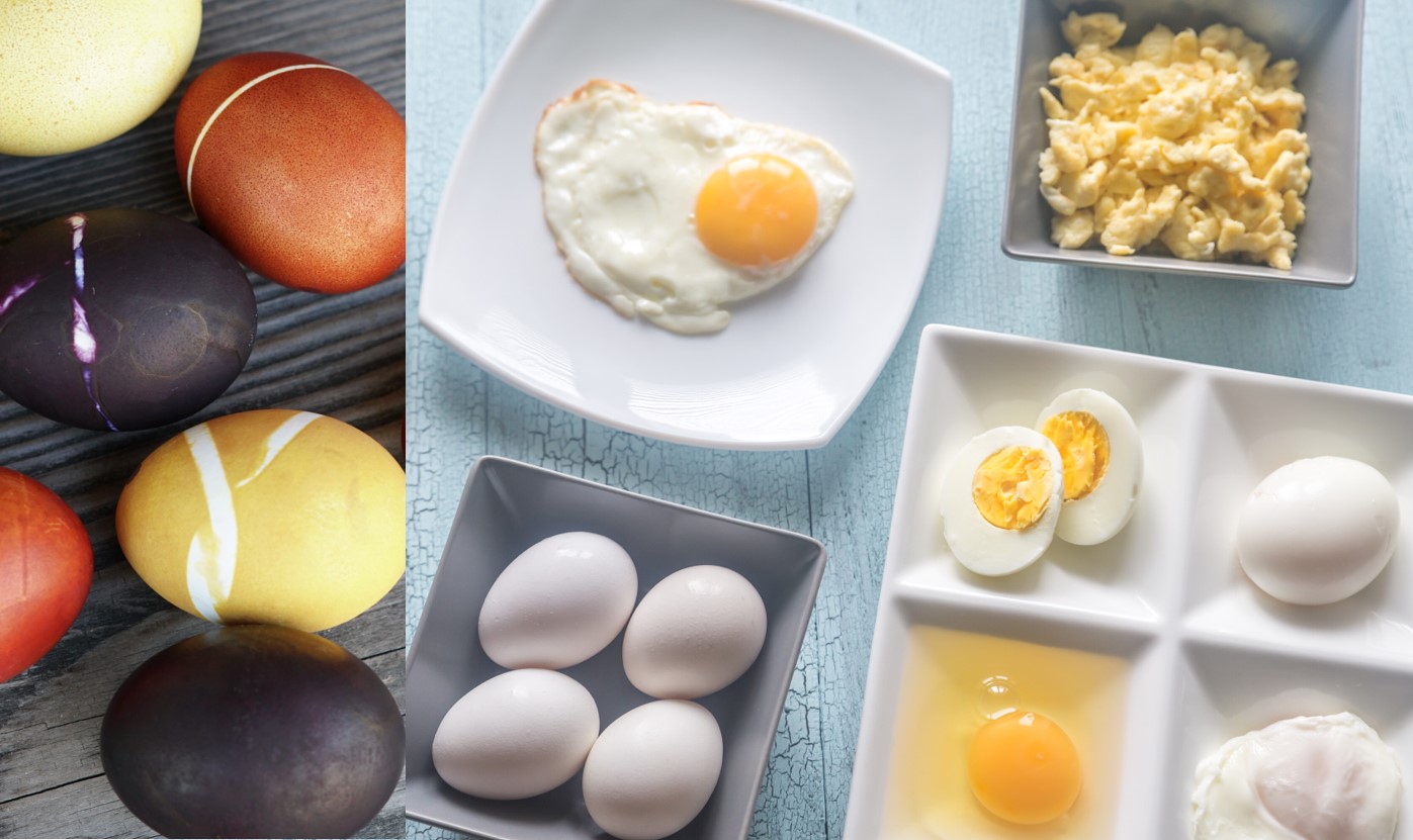 Œufs colorés, œufs crus et différents plats à base d’œufs dans des raviers : œuf sur le plat, œufs brouillés, œuf cru, œuf dur coupé, œuf poché