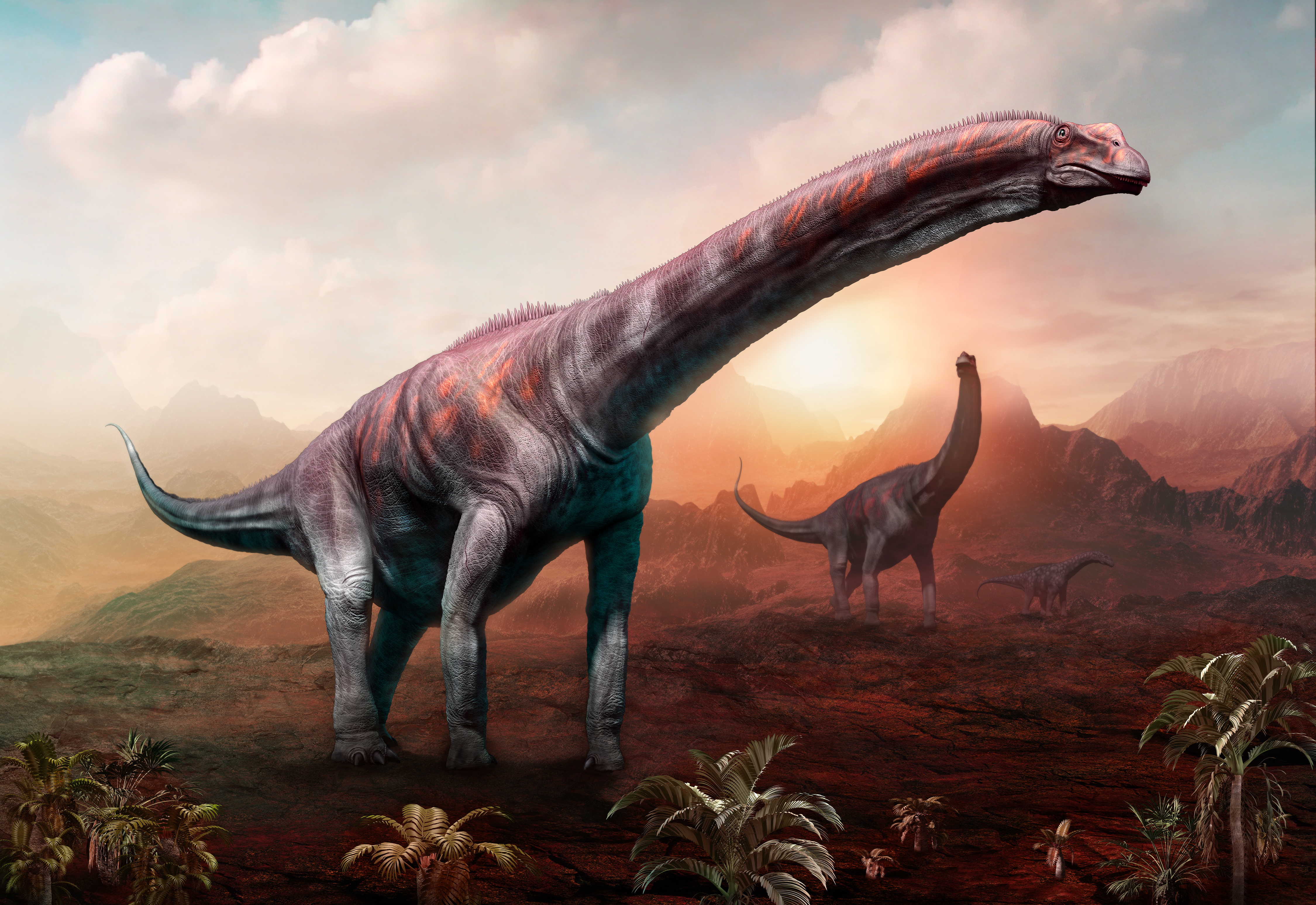 Image de synthèse montrant deux Argentinosaurus, le plus grand dinosaure connu à ce jour.