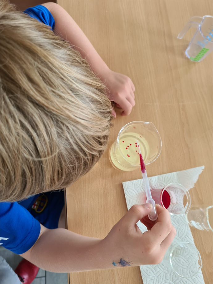 Un enfant ajoute des gouttes d'un liquide rouge dans un vere contenant un liquide jaunâtre à l'aide d'une pipette.